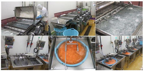 微酸性電解水在日本食品加工廠中的應(yīng)用實例